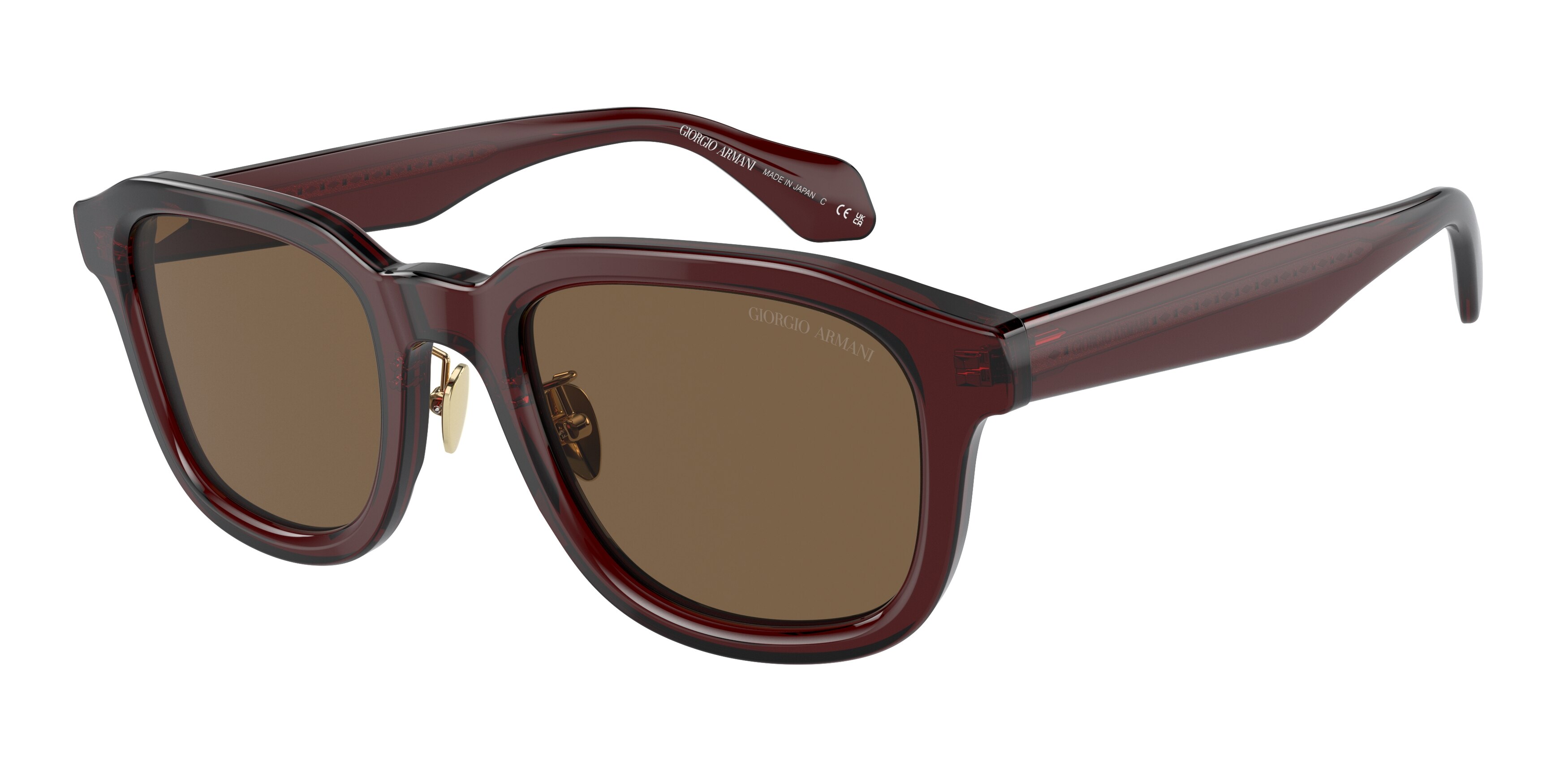 Giorgio Armani AR8206 606273  